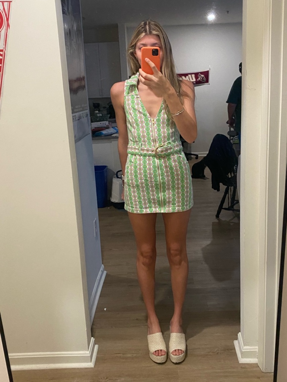 Show Me Your MuMu Green and Pink Oxford tank dress - Picture 3 of 4